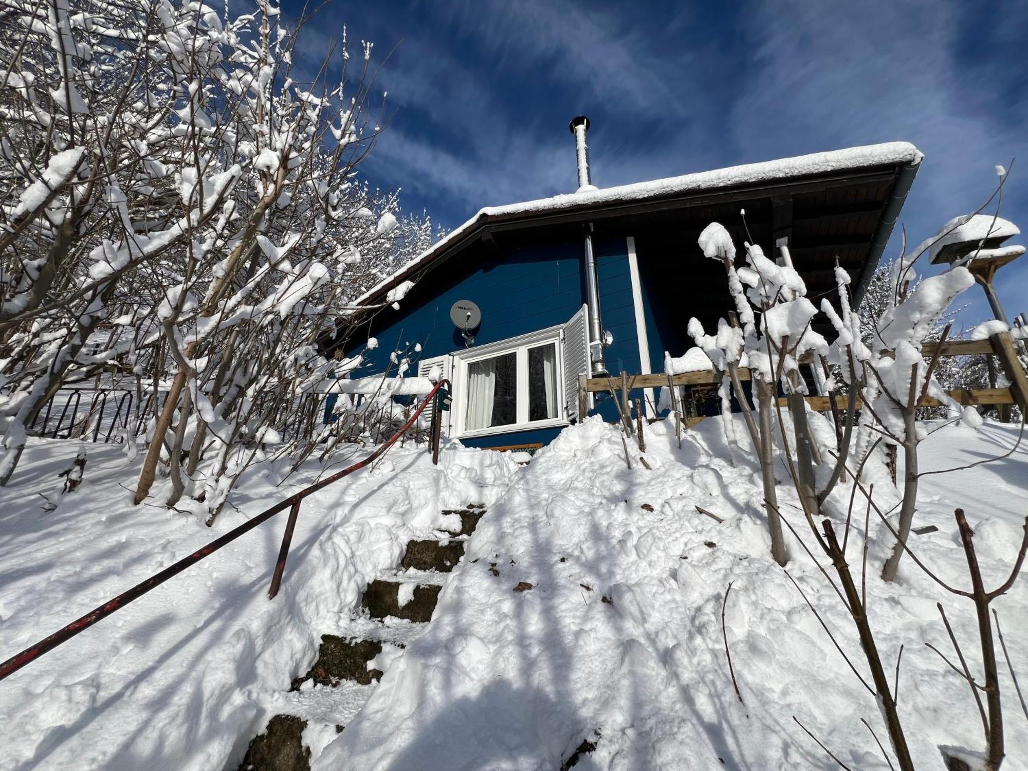 Platell Ferienhausverwaltung Sankt Andreasberg Exterior photo
