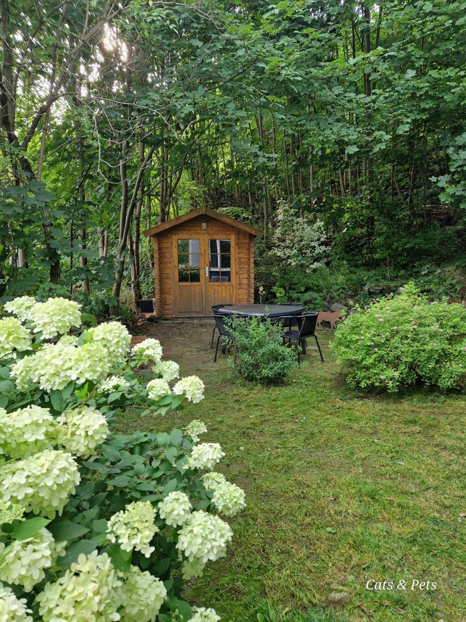 Platell Ferienhausverwaltung Sankt Andreasberg Exterior photo